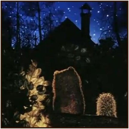 Un hérisson dans le brouillard