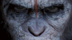 Faut-il aller voir La planète des singes : l’Affrontement ?