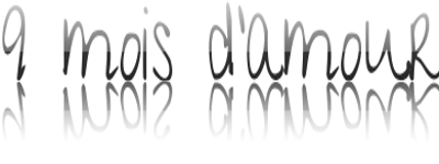 logo 9 mois d'amour - blog maternité