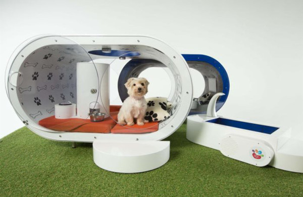 Samsung Dream Doghouse - maison de rêve pour chiens par Samsung - niche de chien